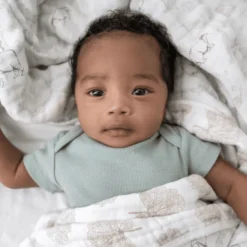 Aden +anais™ Mousseline Deken Harmony -Jollein Winkel aden anais mousseline deken harmony a410150 2