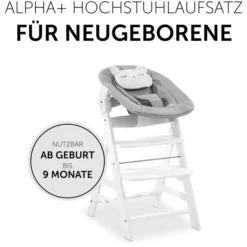 Hauck Wipstoeltje Alpha Bouncer 2in1 Pastel Bear Light Grey -Jollein Winkel hauck wipstoeltje alpha bouncer 2in1 pastel bear light grey a372182 3