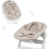 Hauck Wipstoeltje Alpha Bouncer 2in1 Winnie De Poeh Beige